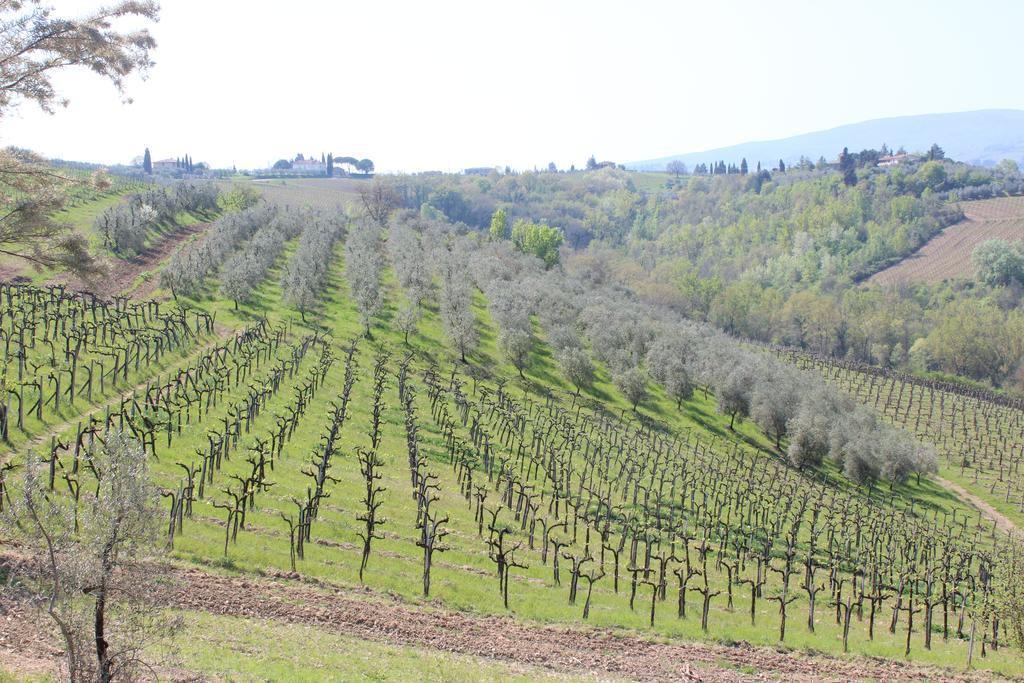 Bio Agriturismo Podere Pretoia San Gimignano Exteriér fotografie