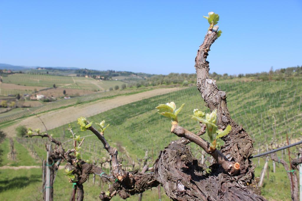 Bio Agriturismo Podere Pretoia San Gimignano Exteriér fotografie