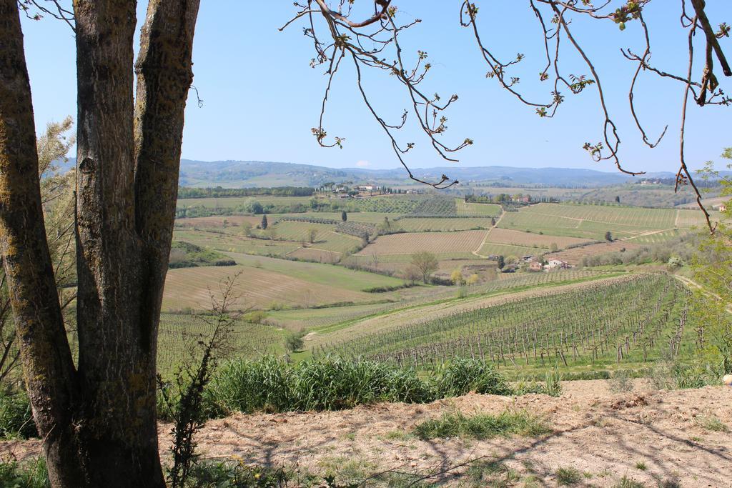 Bio Agriturismo Podere Pretoia San Gimignano Exteriér fotografie